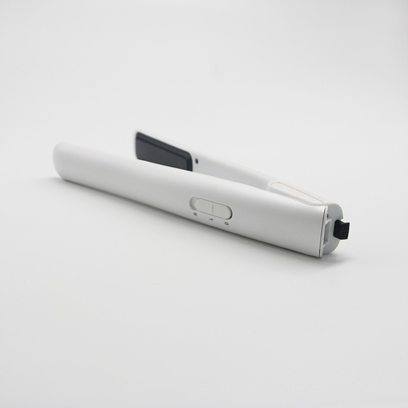 Mini Travel Flat Iron (V181)