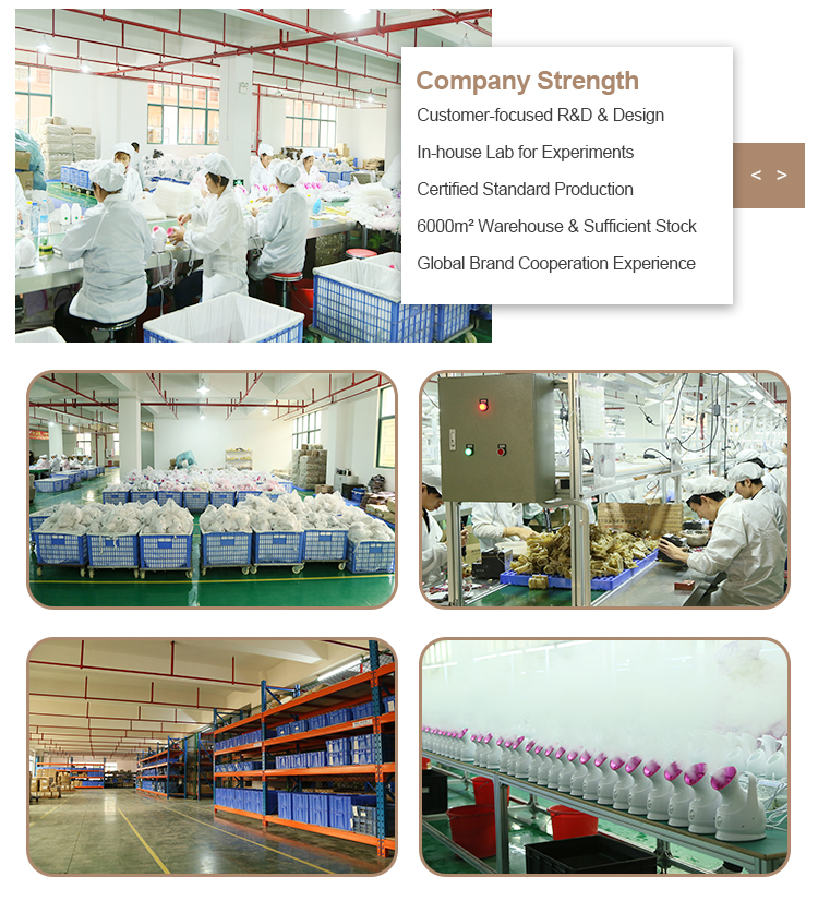 Company Profile 9