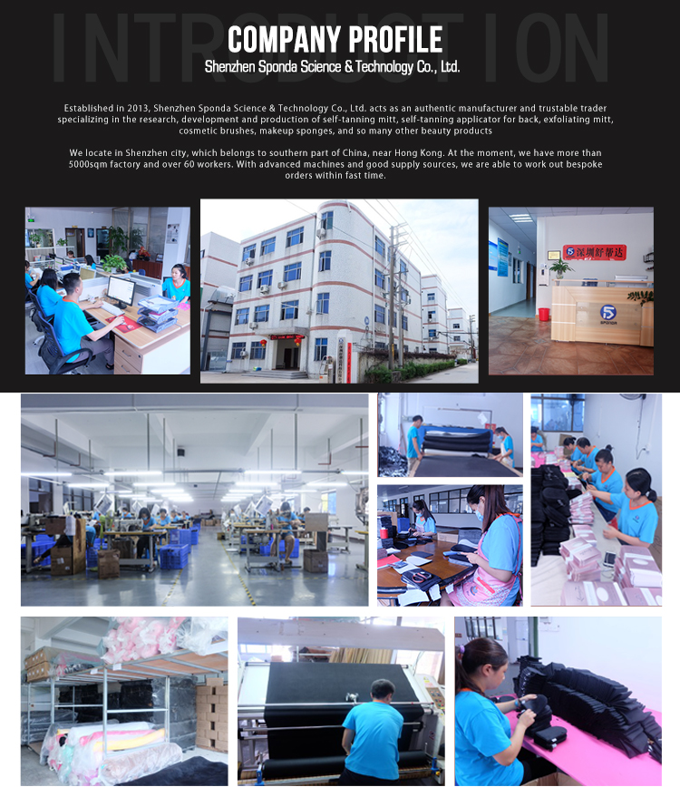 Company Introduction Overview