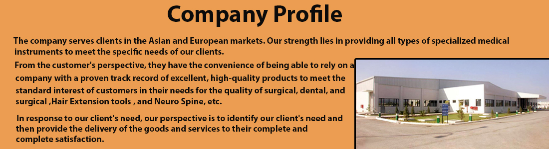 Company Profile 1