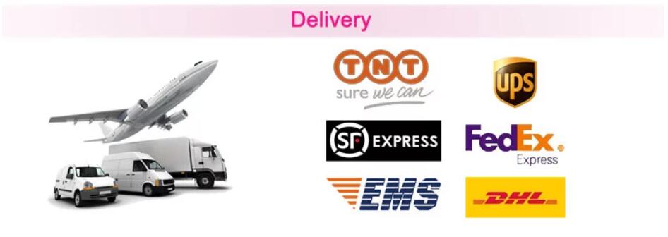 Shipping And Delivery Options