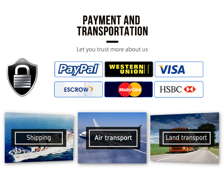 Payment and Shipping details