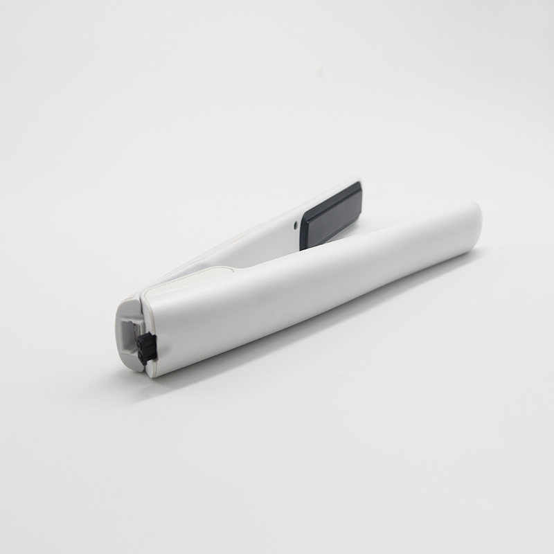 Mini Travel Flat Iron (V181)