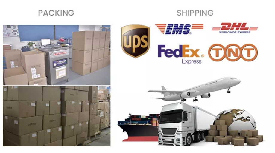 Shipping methods illustration