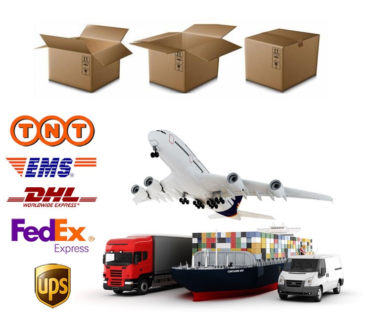 Shipping Logistics Detail