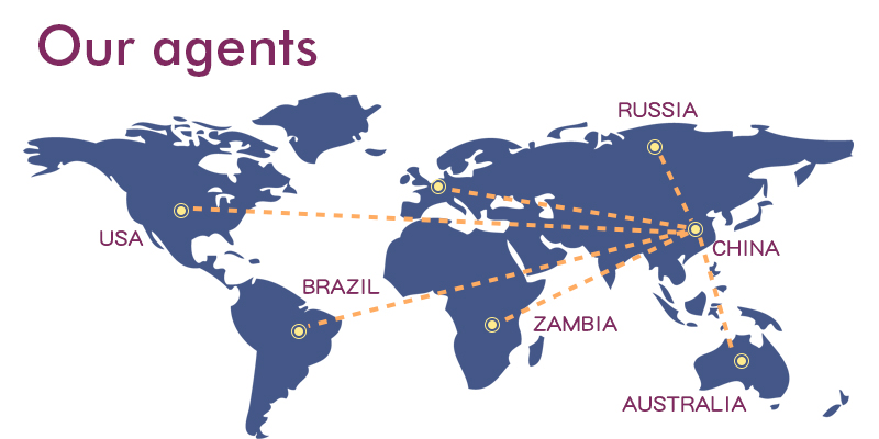 Our Global Agents