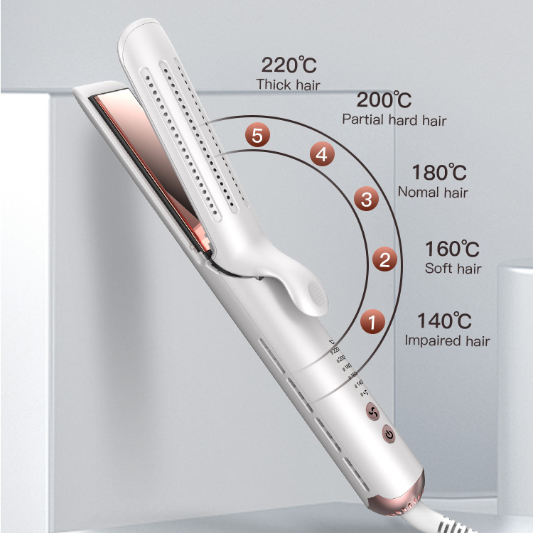Bidisco Hot Sale 2 in 1 Hair Straightener Curler Bidisco Global Voltage Hair Straightener Iron