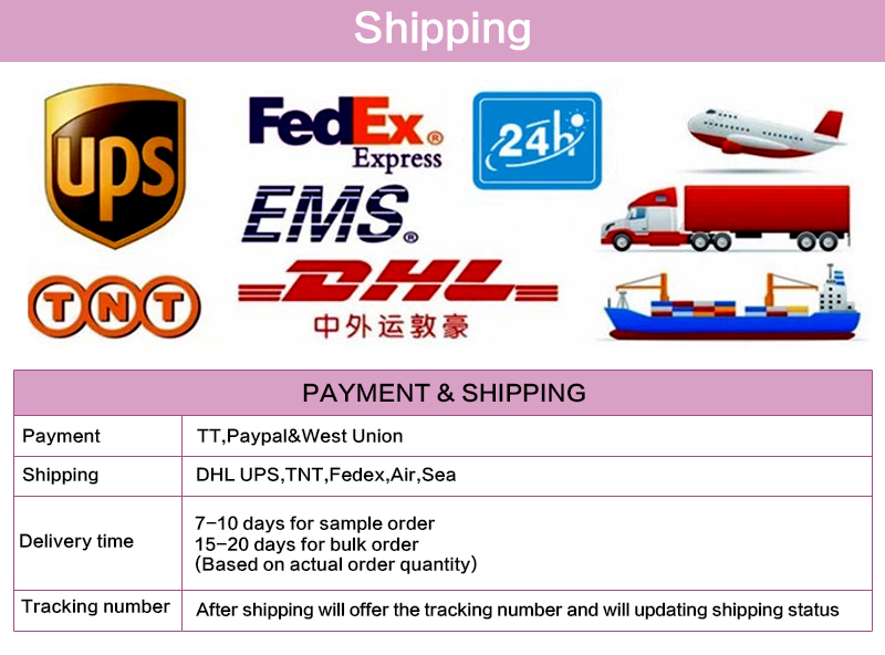 Shipping Logistics