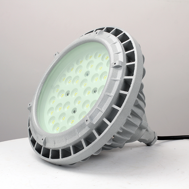 Iluminación Industrial LED para Áreas Peligrosas 50W 80W IP66 Iluminación Química Industrial Luz LED de Emergencia a Prueba de Explosiones Zona 1 60W