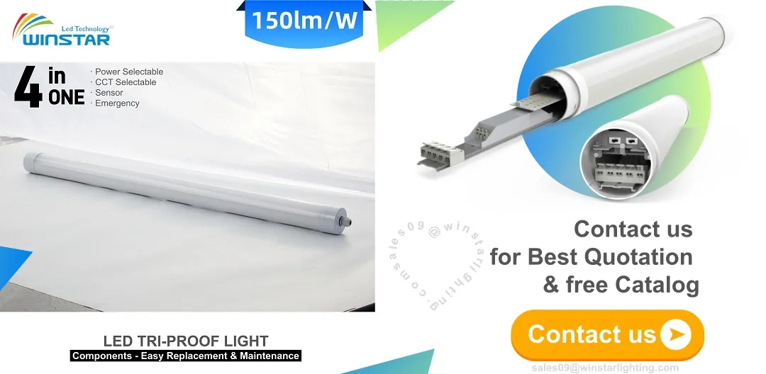 Servicio al cliente y consultas de proyectos de iluminación LED