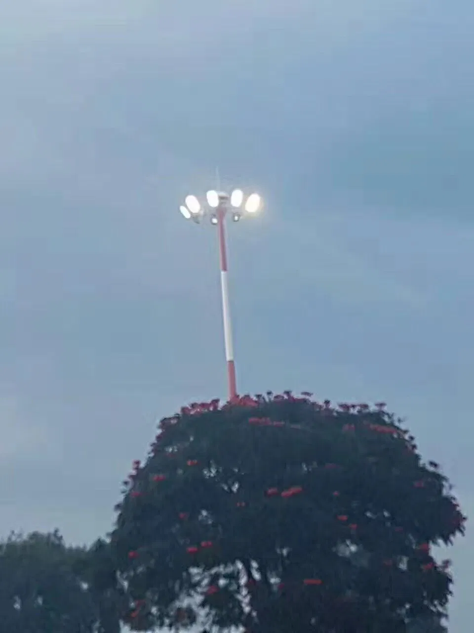 Detalle del mástil de iluminación instalado en Kenia
