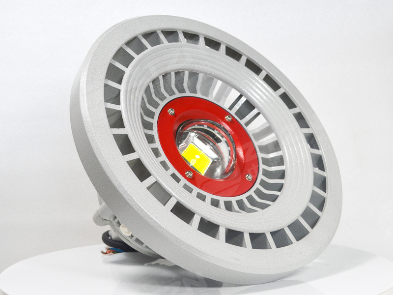 1. Luz LED industrial de alta eficiencia a prueba de explosiones para montaje en techo