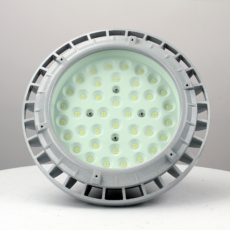 Iluminación Industrial LED para Áreas Peligrosas 50W 80W IP66 Iluminación Química Industrial Luz LED de Emergencia a Prueba de Explosiones Zona 1 60W