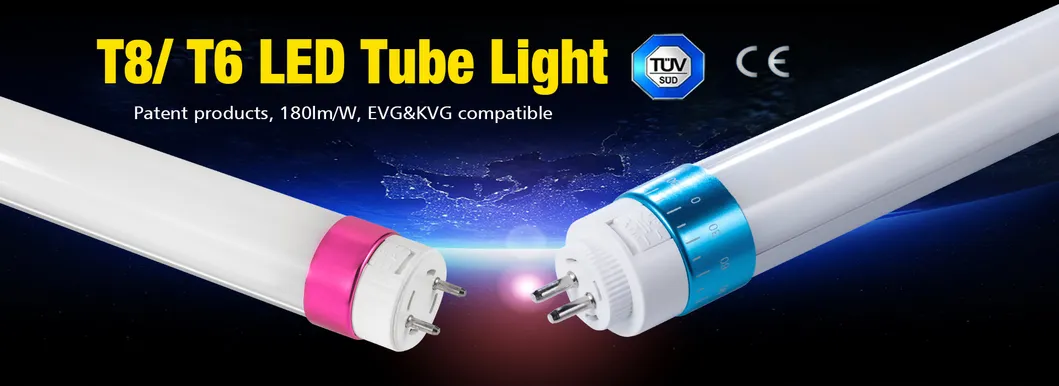 Eficiencia de Luz de Tubo LED T8