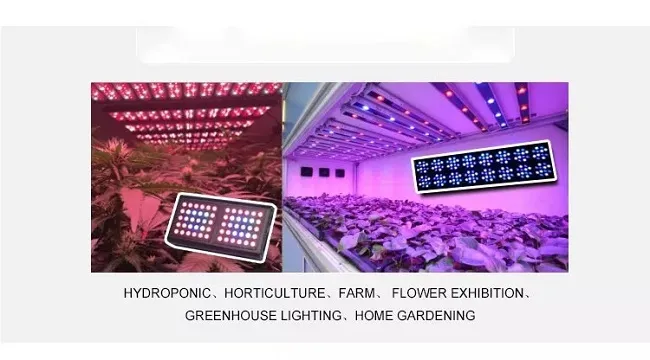 Suministro de fábrica 45mil Chip Bridgelux Epistar 1W 3W Diodo LED rojo 440nm 620nm 630nm 640nm 660nm 3030 3535 LEDs SMD Visión industrial de máquinas
