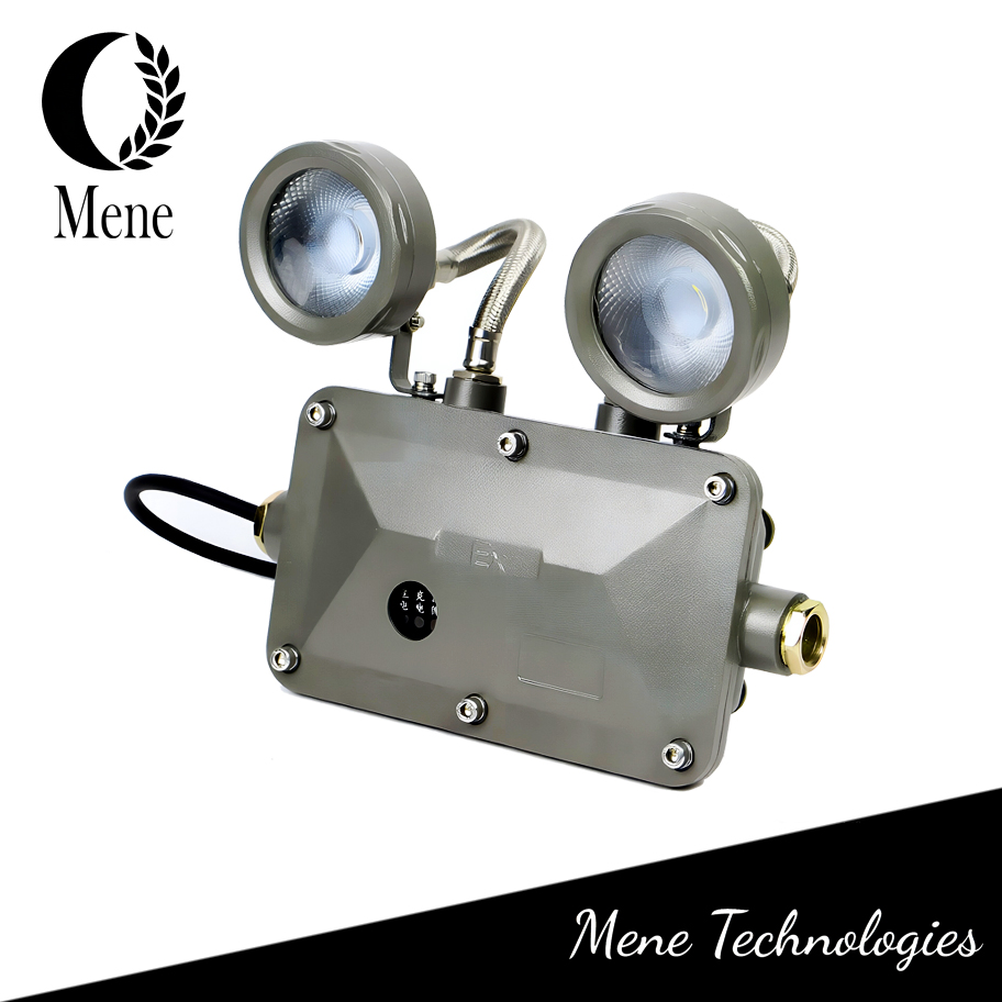 Lámpara de luz de emergencia LED de grado industrial a prueba de explosiones ATEX para seguridad en áreas peligrosas de fábricas y almacenes