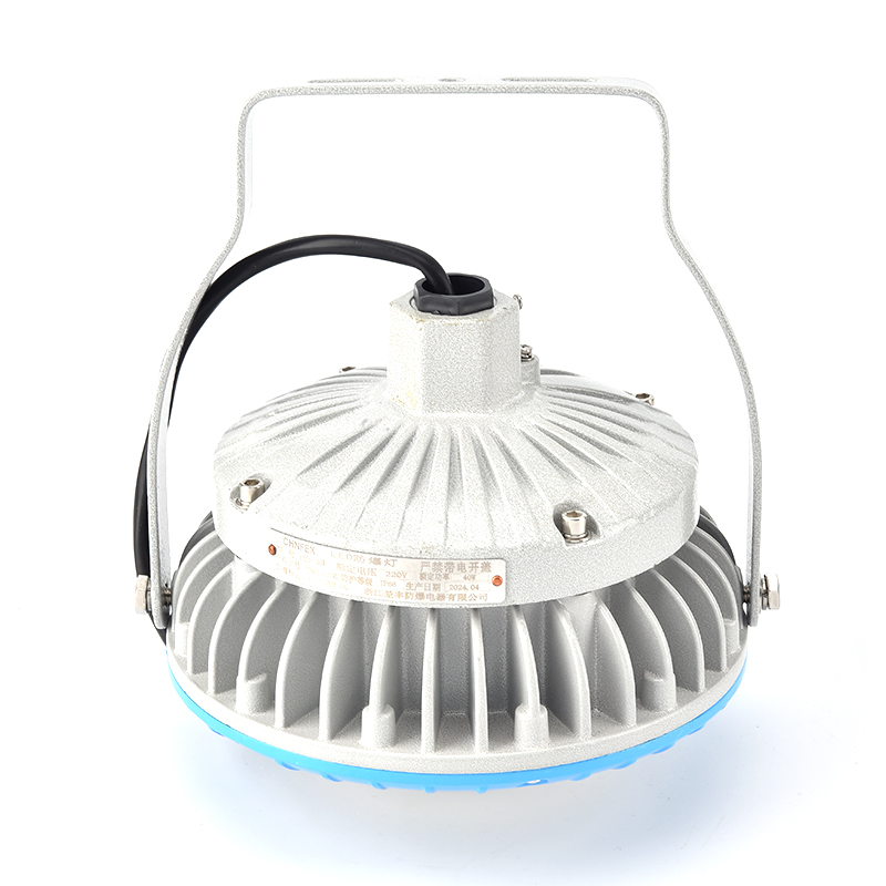 Luz LED a prueba de explosiones industrial y resistente al agua para áreas peligrosas