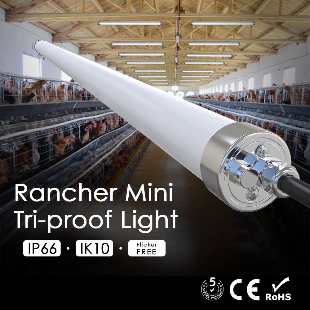 SMD2835 CRI> 80 Ángulo de Haz 120 Fijación de Tubo LED Tri-Prueba