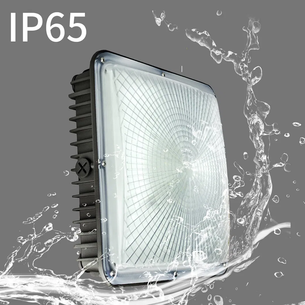 Detalle Luz de Canopy LED de Bajo Perfil