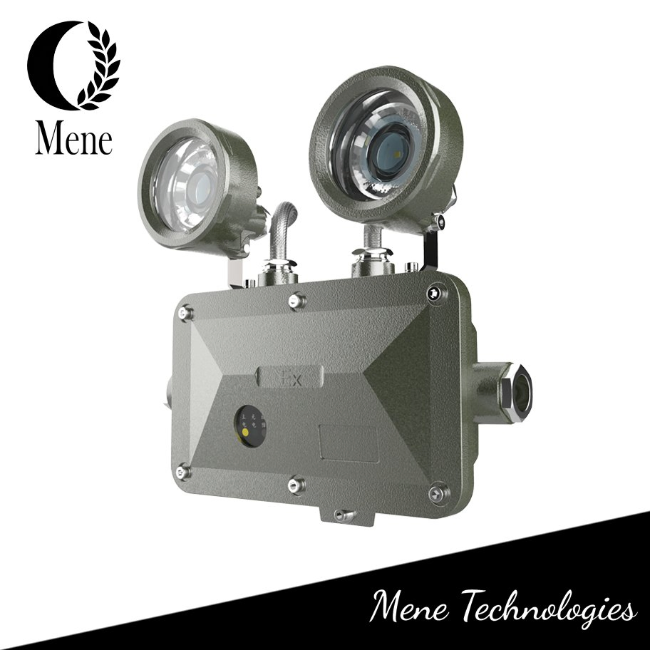 Lámpara de luz de emergencia LED de grado industrial a prueba de explosiones ATEX para seguridad en áreas peligrosas de fábricas y almacenes