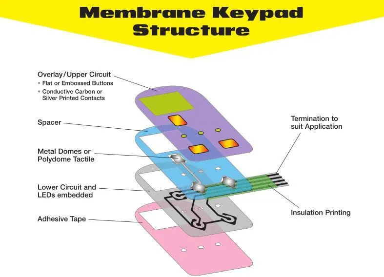 Estructura del interruptor de membrana