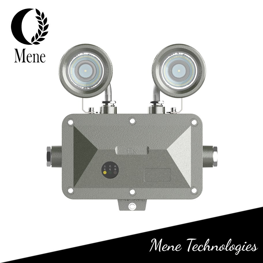 Lámpara de luz de emergencia LED de grado industrial a prueba de explosiones ATEX para seguridad en áreas peligrosas de fábricas y almacenes