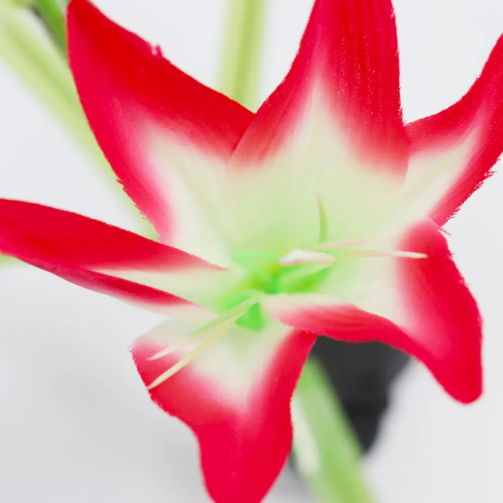 China LED solar lily garden lights in various colors for Patio Yard Garden Christmas Decoration Manufacturer, Factories