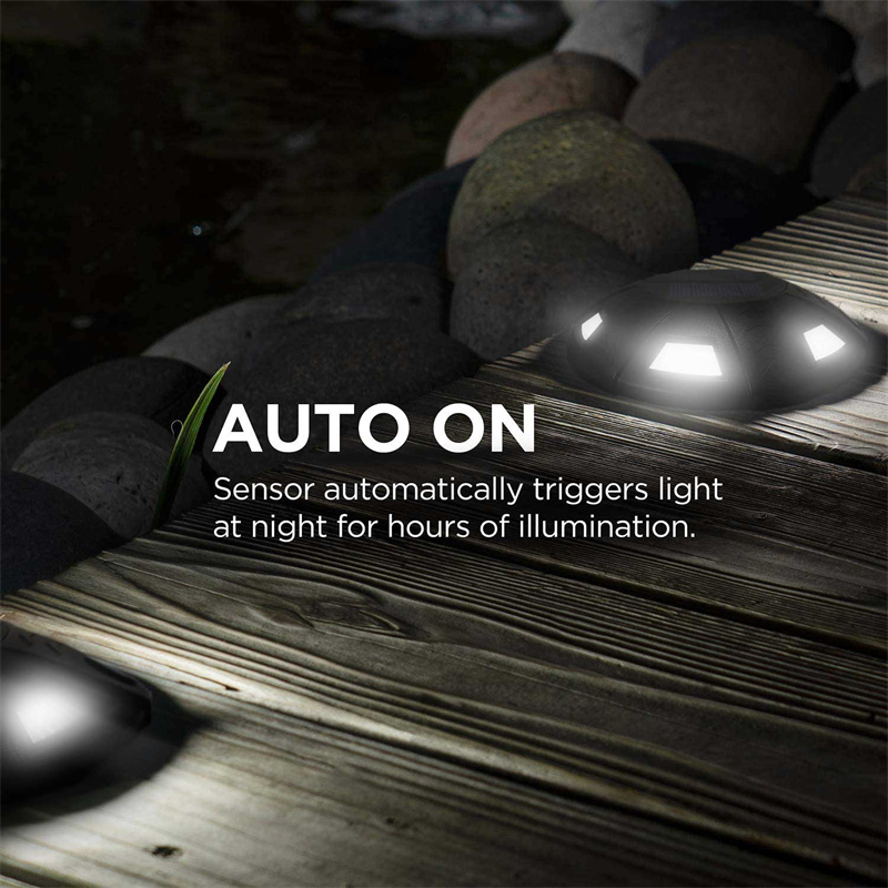 Outdoor Solar Lighting Path