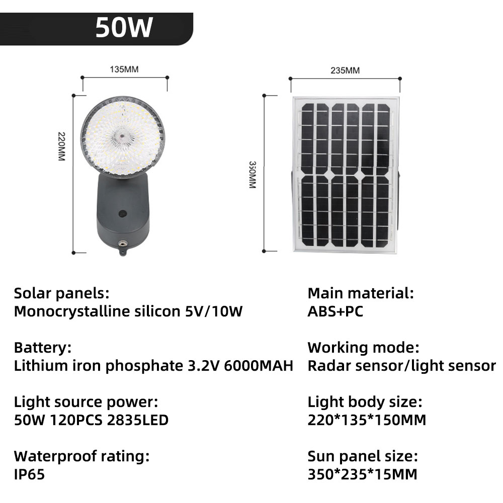 Motion Sensor Solar Light