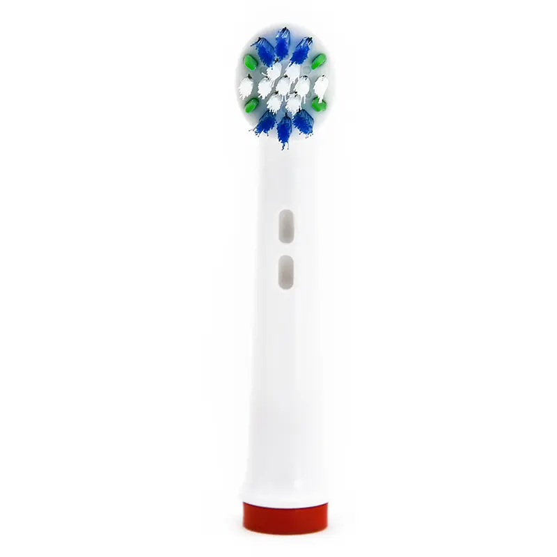 Electric Toothbrush Head Detail