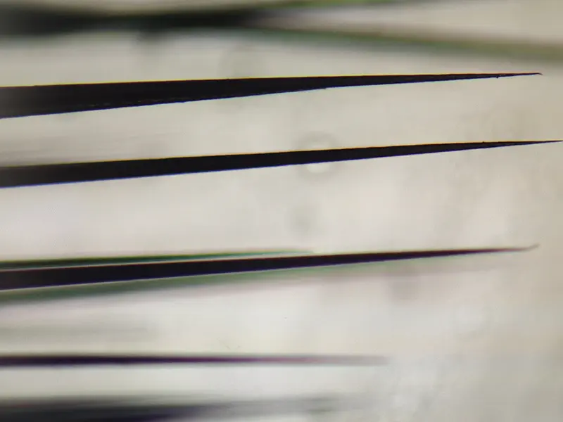 tapered filaments technical view