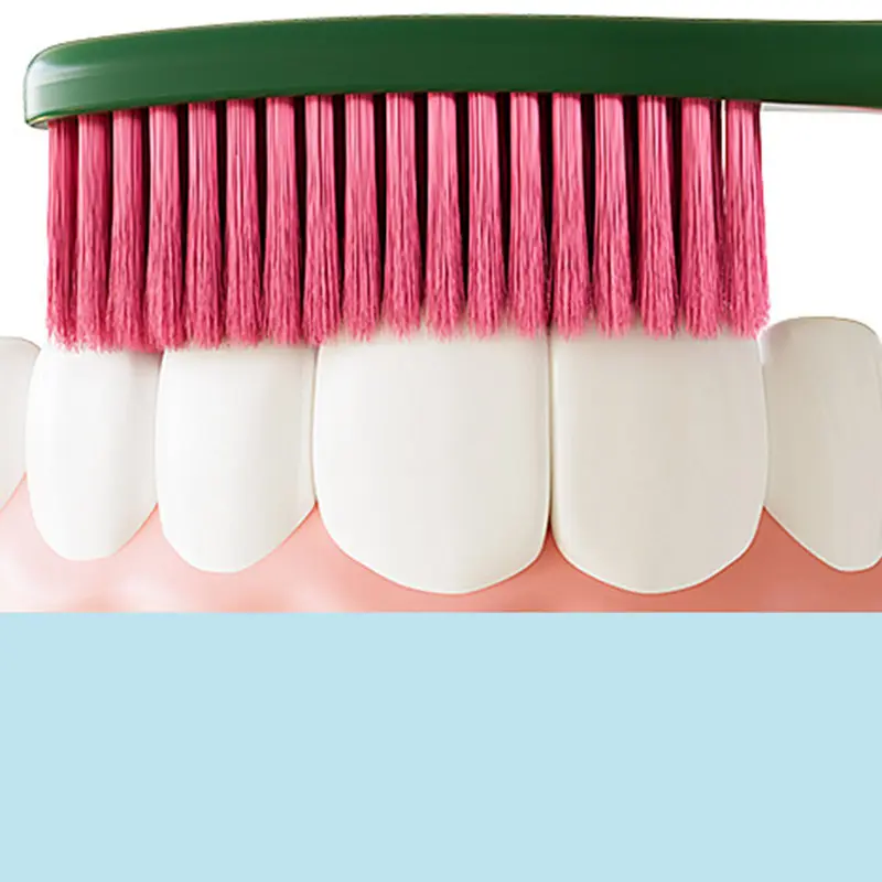 ODM Extra-Large, Wide, Quick Cleaning toothbrush Manufacturer, Manufacturers