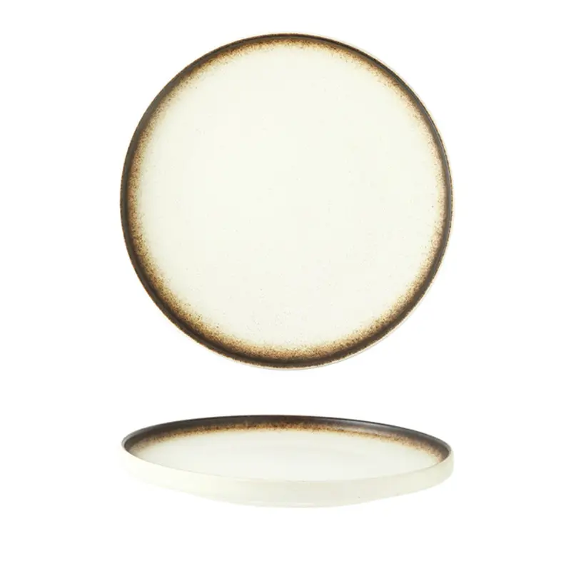 Custom Industrial Style Speckled Gradient Glaze Ceramic Plate Set Supplier, Companies