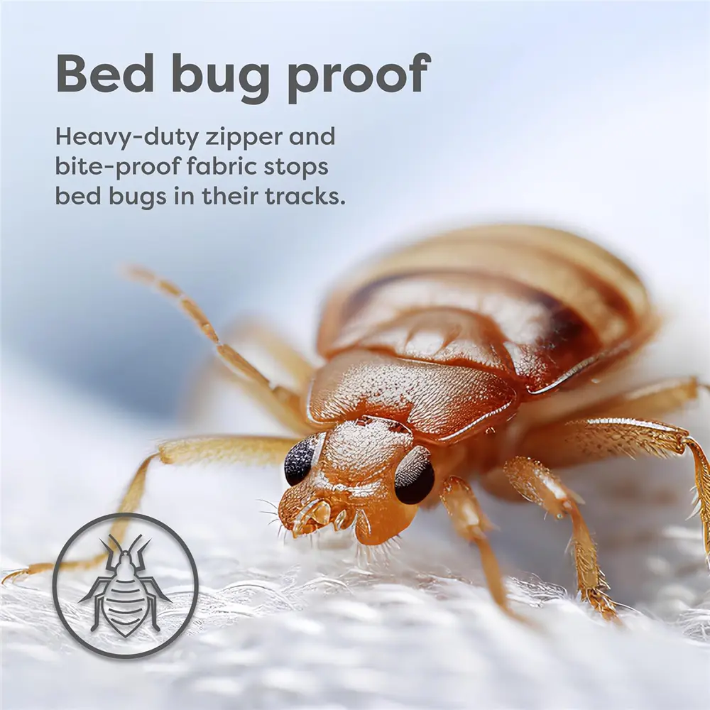 Mattress Protector Detail 2