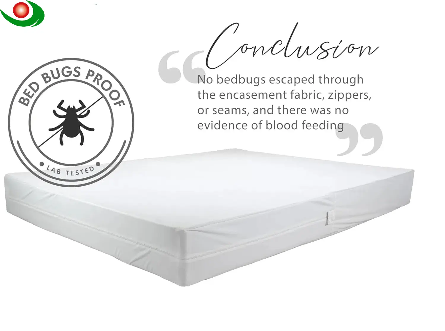 Washable EVA Mattress Protector