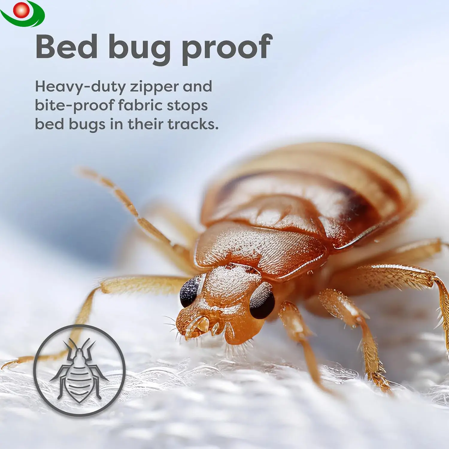 Wholesale Jiayuan Box Spring Encasement - Zippered Bed Bug Dust Mite Proof Hypoallergenic - Sleep Defense System Service, Manufacturer