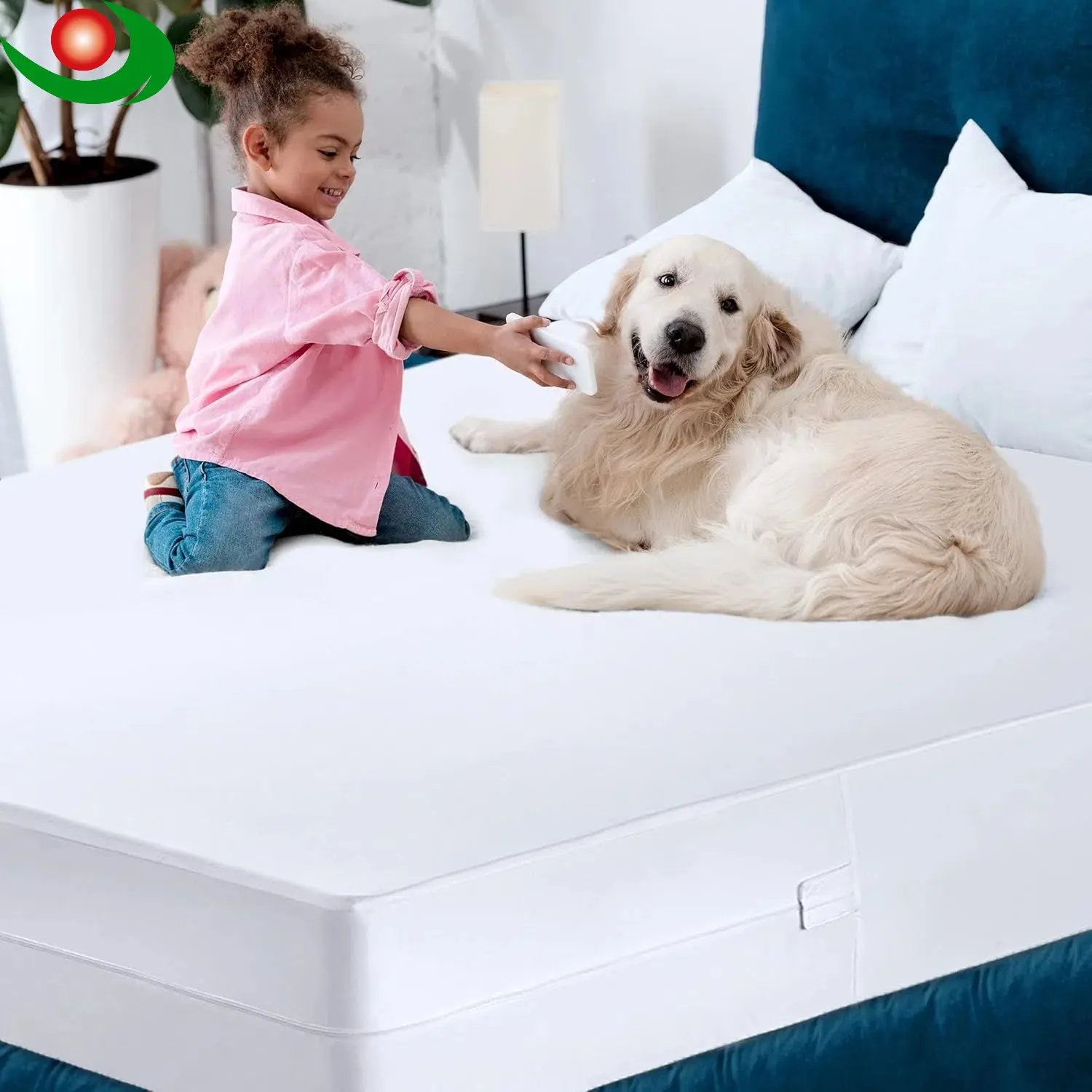Mattress Fitting