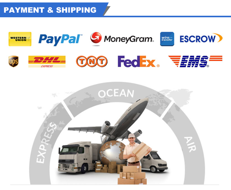 Payment and Shipping