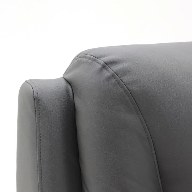 Wholesale 9228DM Geeksofa Dual Motor Power Medical Lift Recliner Chair Suppliers, Factory