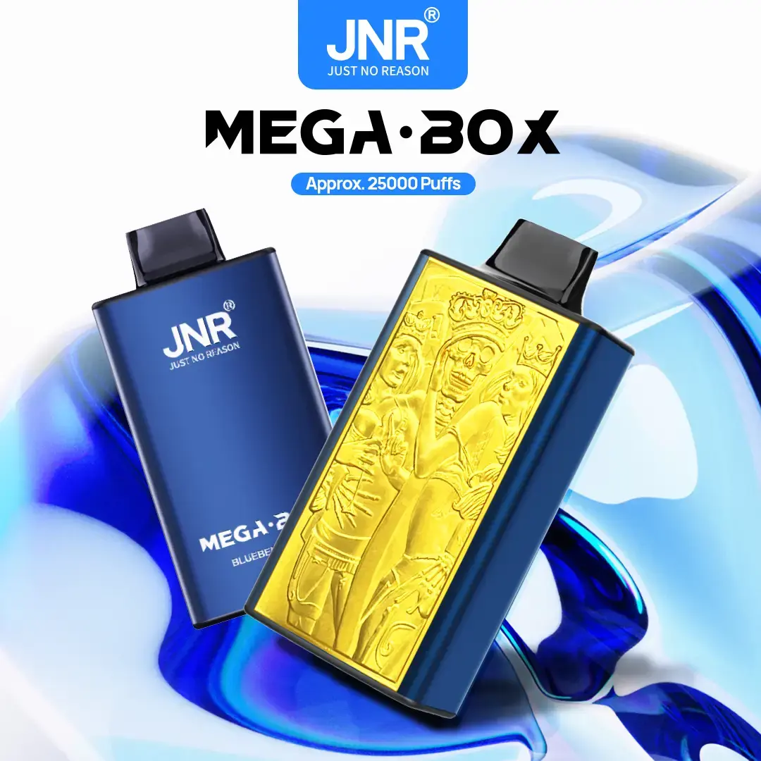 Custom Long-lasting Weekend Vape - JNR Mega Box 25K Manufacturer, Manufacturers