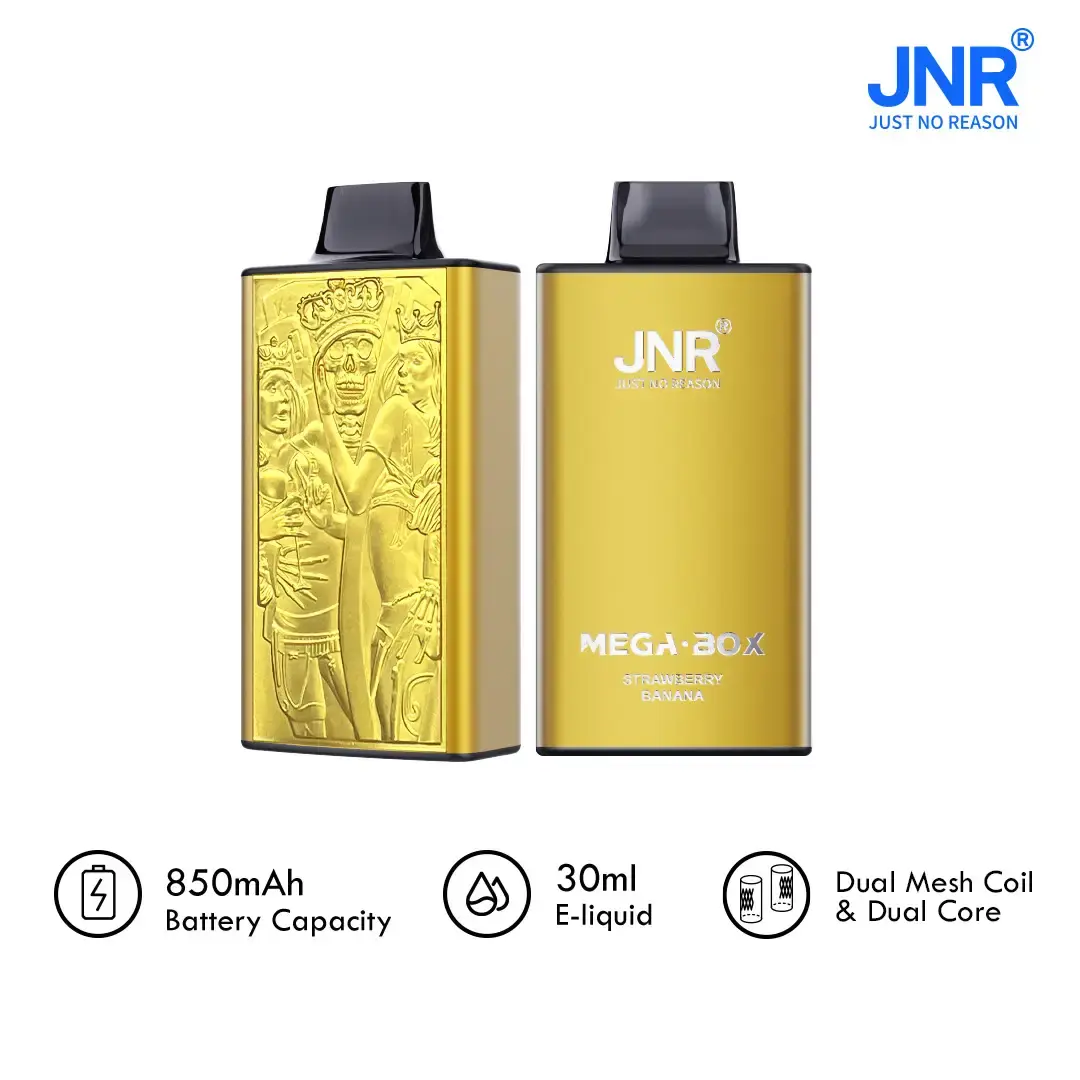 Custom Long-lasting Weekend Vape - JNR Mega Box 25K Manufacturer, Manufacturers