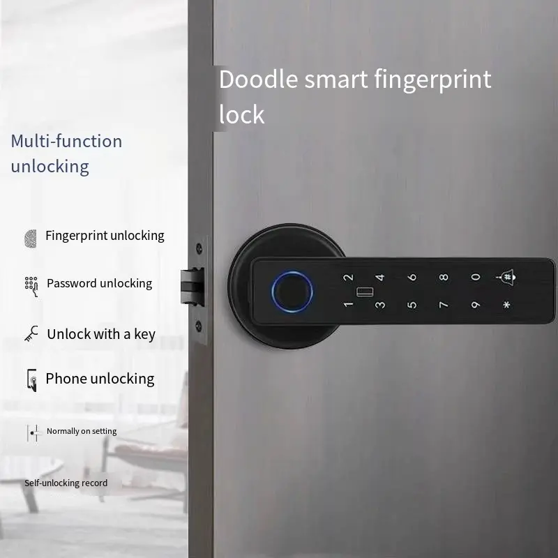 Custom Indoor Wooden Door Fingerprint Lock Home Bedroom Room Graffiti Smart Lock Office Remote Electronic Combination Lock Factories, Products