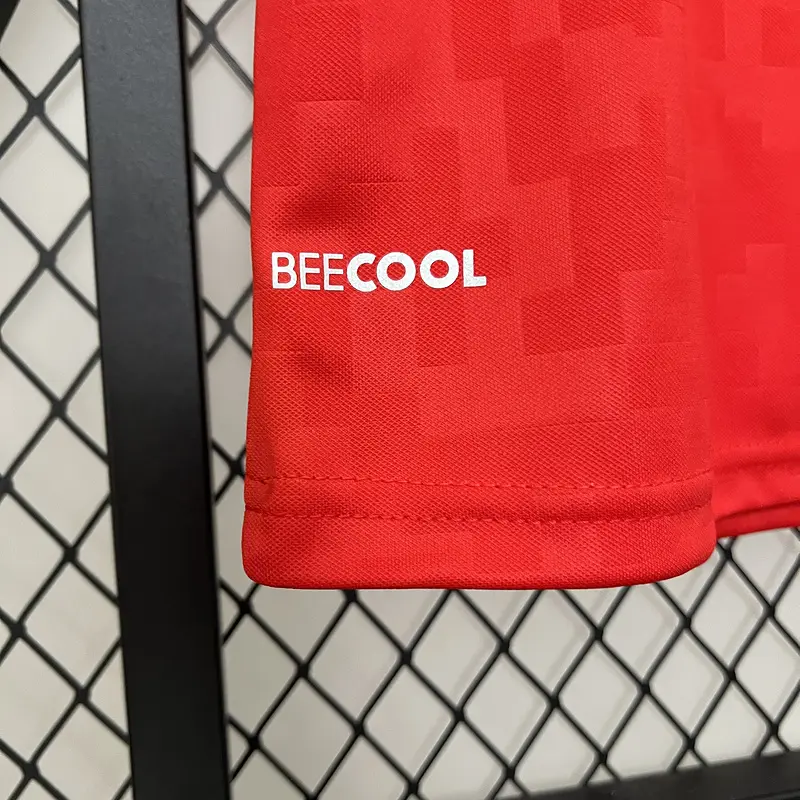 Best 2024/25 Denmark Replica Jersey Products, Service