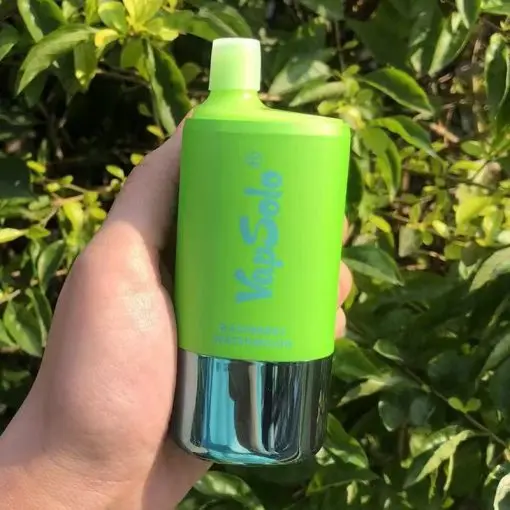 Custom Vapsolo 30000 Puff Disposable Vape Wholesale - Triple 3in1 Bulk Vaping Solution Factory, Product