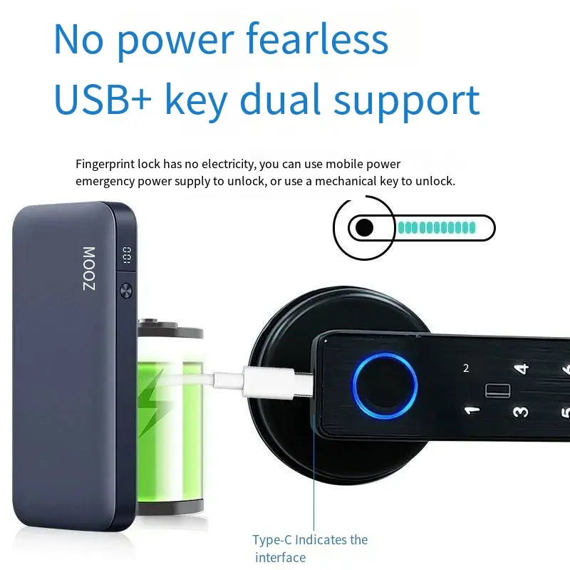 Custom Indoor Wooden Door Fingerprint Lock Home Bedroom Room Graffiti Smart Lock Office Remote Electronic Combination Lock Factories, Products