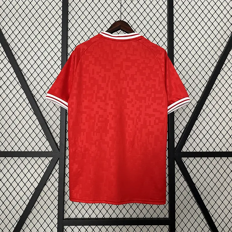 Best 2024/25 Denmark Replica Jersey Products, Service