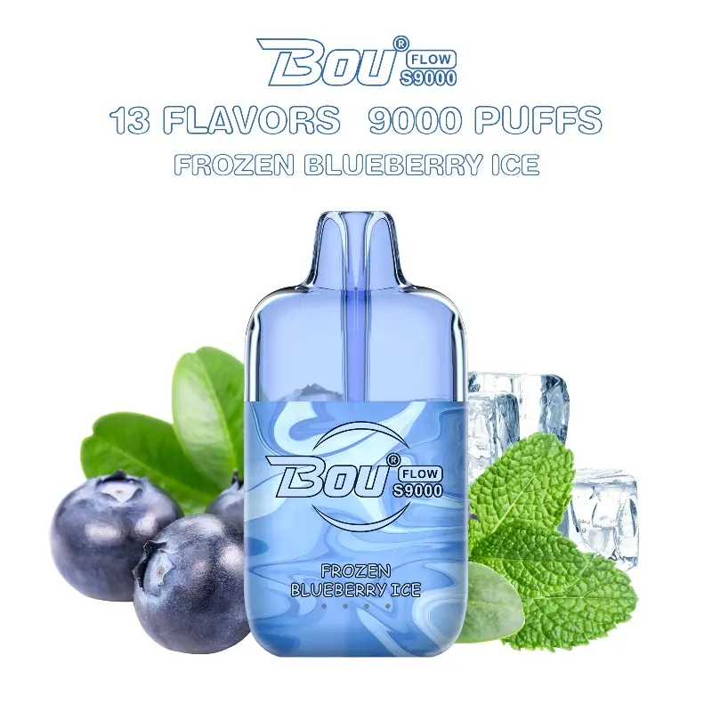 Best BOU Flow 9000PUFFS Extraordinary Health and Peace of Mind Without Fire Suppliers, Factories