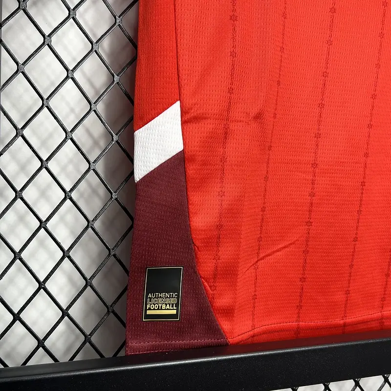 Best 2024/25 Switzerland Replica Jersey Manufacturer, Exporters
