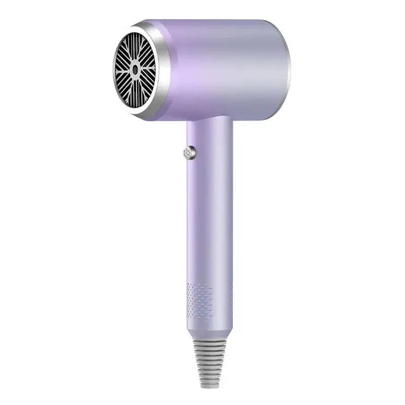 Wholesale 2025 High-Power Quick Dry Hair Dryer for Hotels & Salons Factory, Products