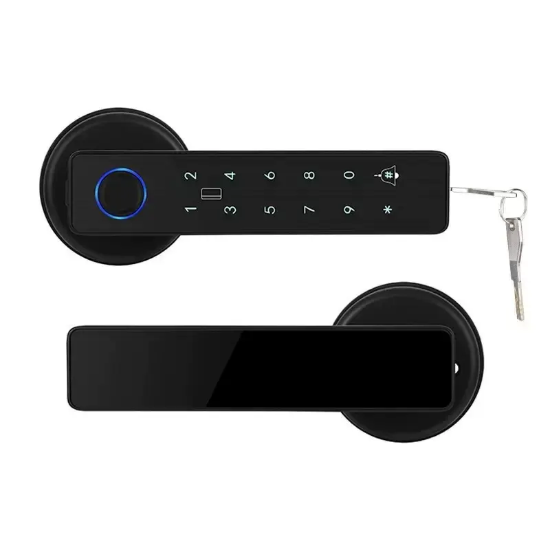 Custom Indoor Wooden Door Fingerprint Lock Home Bedroom Room Graffiti Smart Lock Office Remote Electronic Combination Lock Factories, Products